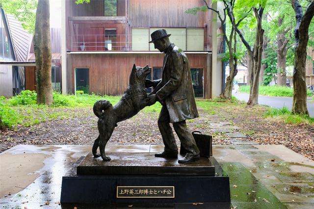 Bronze Statue of the hachiko and the Master