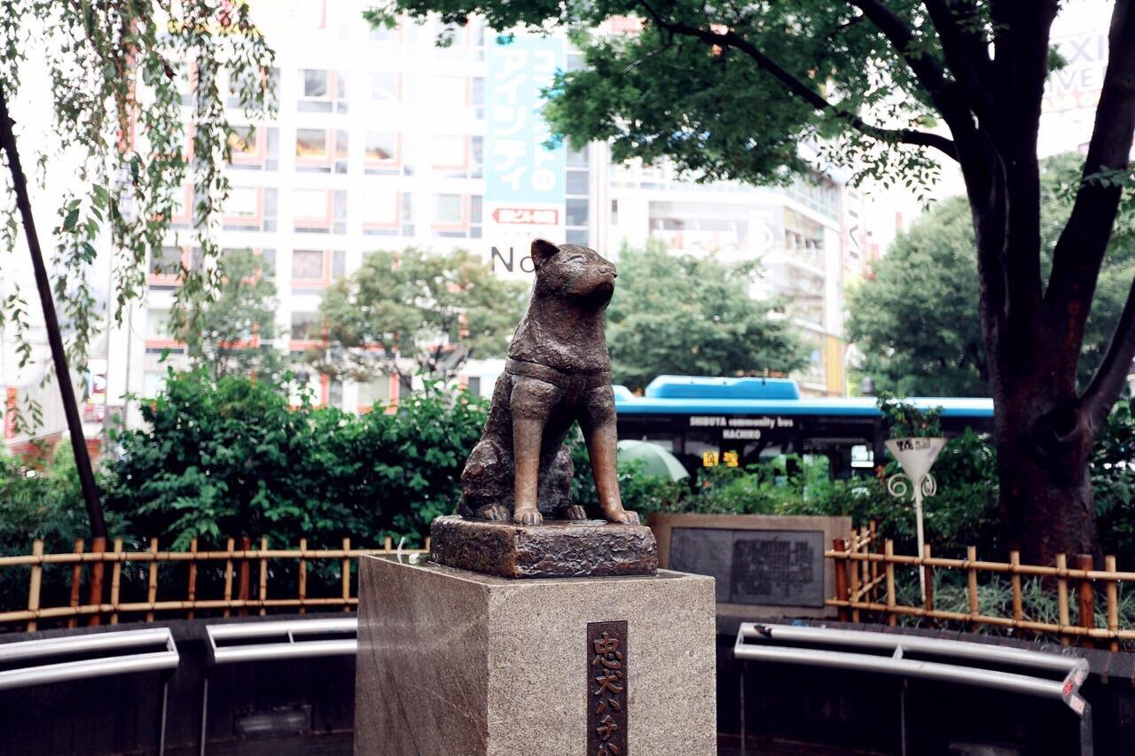Hachiko statue shibuya station