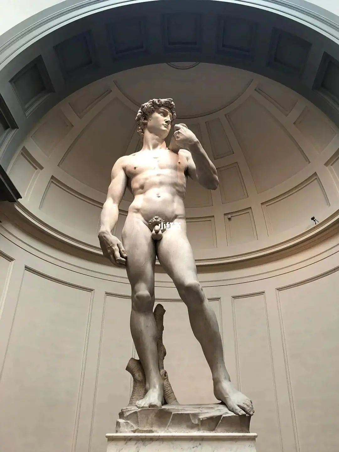 What is the statue of David meaning