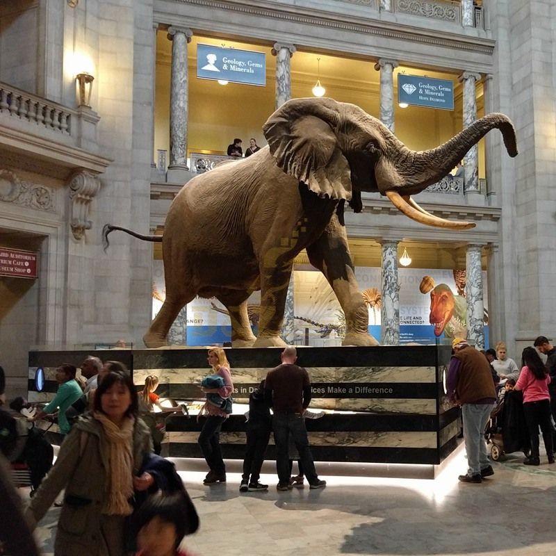 Large beautiful garden decoration bronze animal sculpture elephant statue
