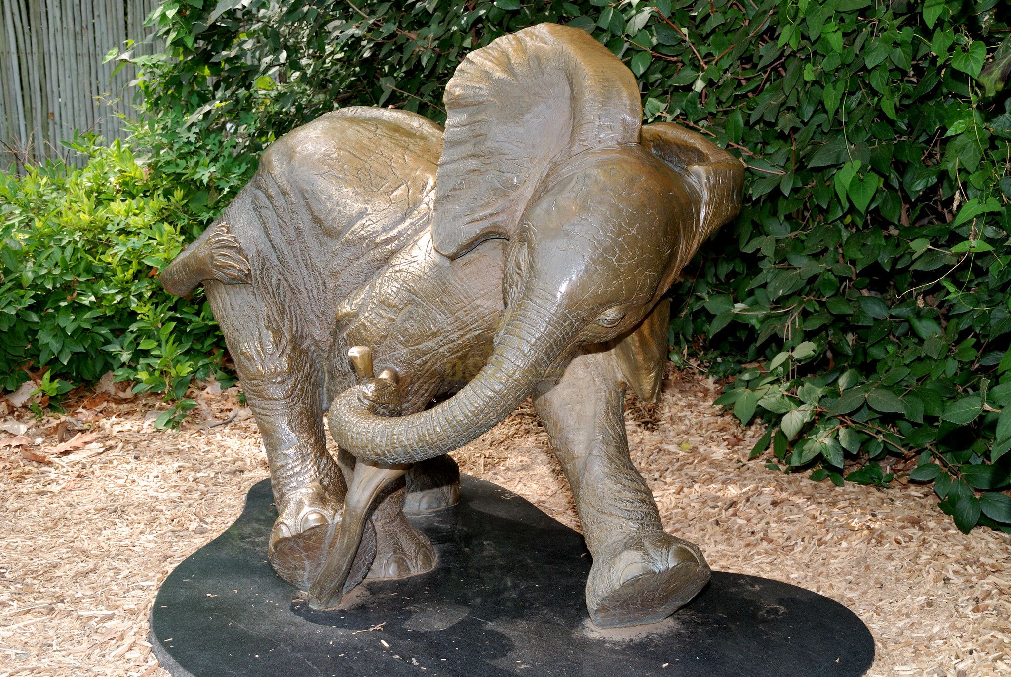 bronze elephant sculpture