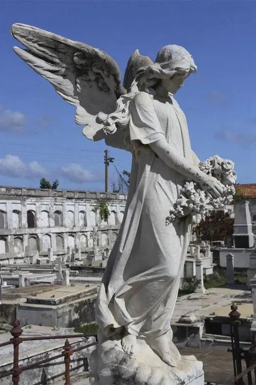 The origin of the stone angel