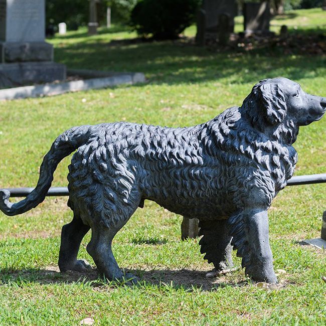 Large Newfoundland dog garden statue for sale