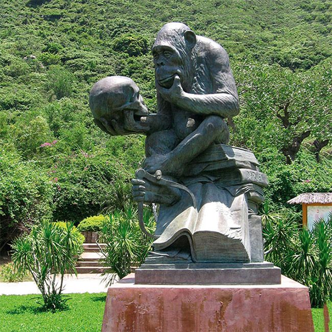 Philosophizing Thinking Monkey Holding Skull Statue