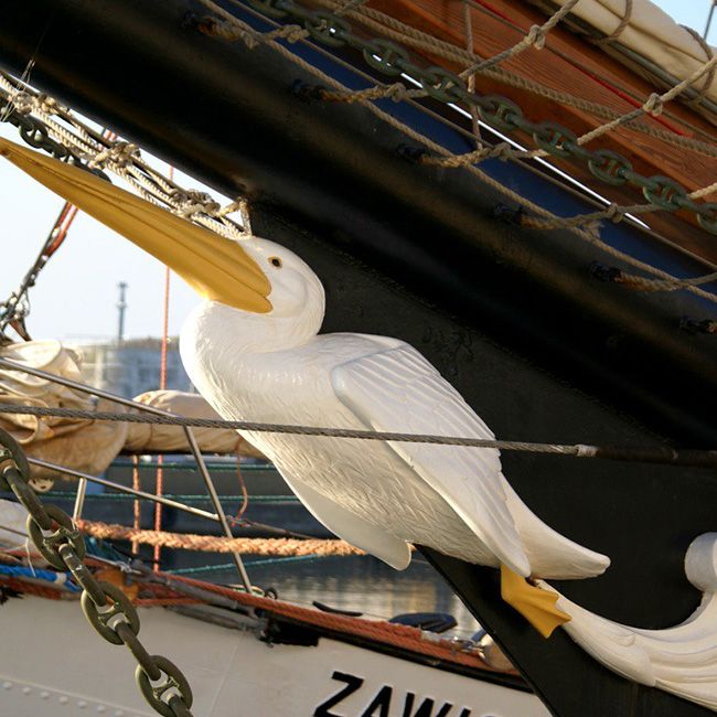 Pelican figurehead on ship