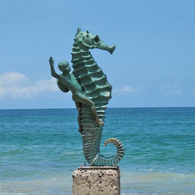 ​The Boy on the Seahorse Puerto Vallarta