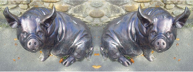 Bronze life size wild boar statue for garden decoration