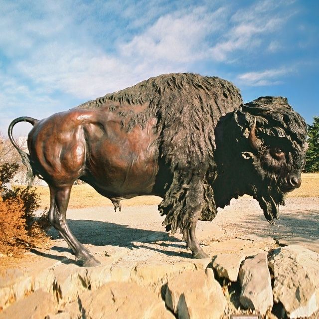 bison sculpture for garden