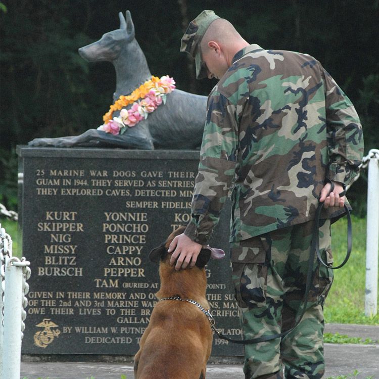 World War Dobermanmemorial statue for Doberman dogs