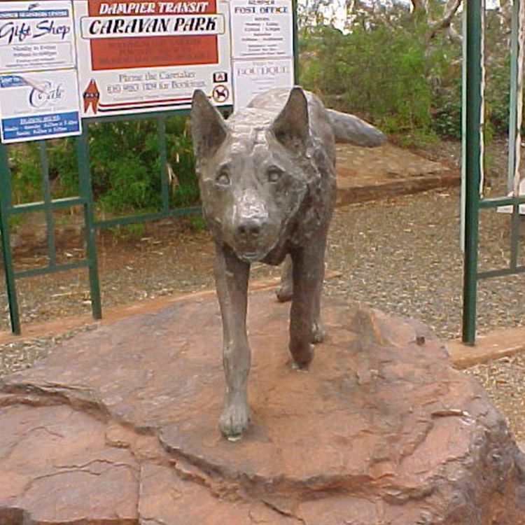 red dog pilbara statue.jpg