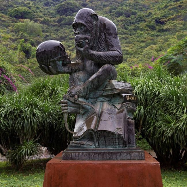 darwin's monkey statue