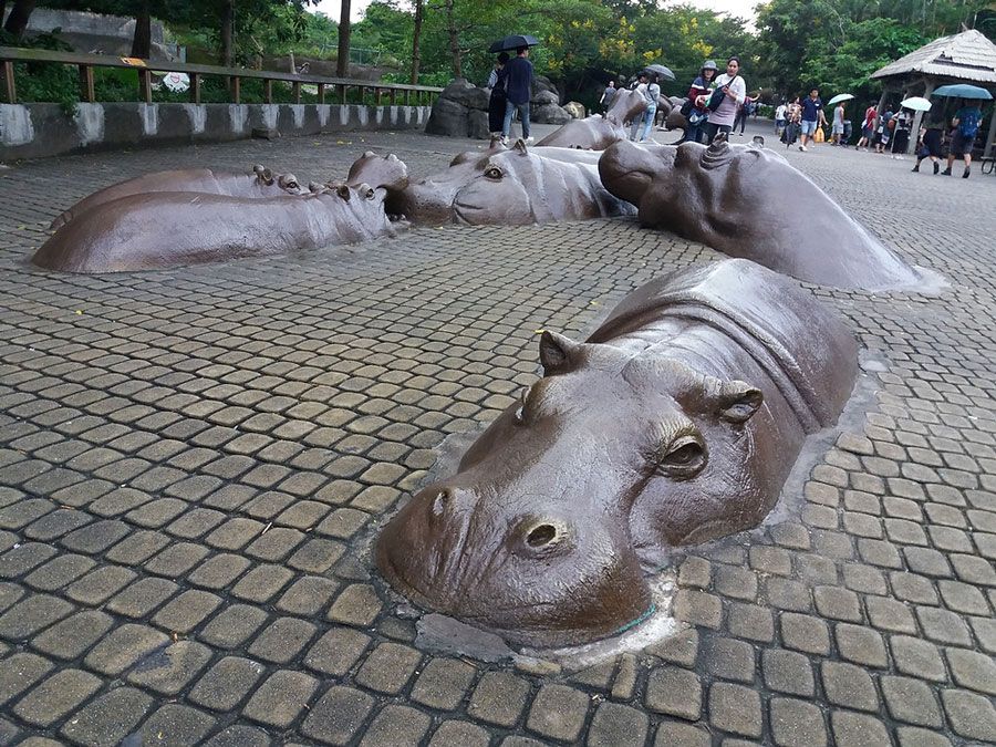 swimming hippo garden sculptures